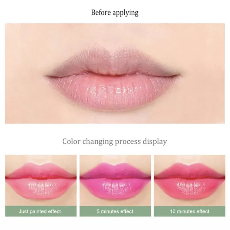 Aloe Vera Lip DISAAR